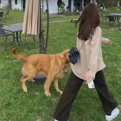 我就是不按套路出牌
